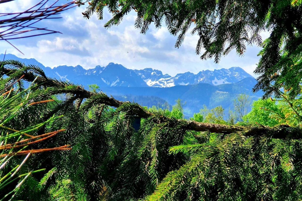 Privatunterkunft Tatrzanska Pod Brzyzkiem Zakopane
